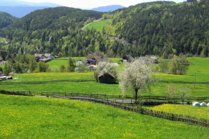 Bergfrühling - Kraft der Natur